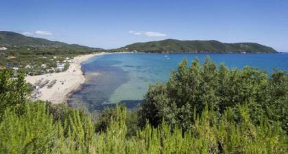 CAPO AI PINI BILO ELISA - BILO ELISA