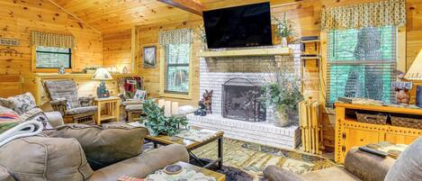 TV, fireplace, video games, books