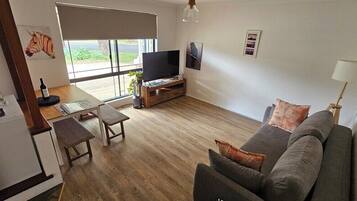 TV connectée, cheminée, livres