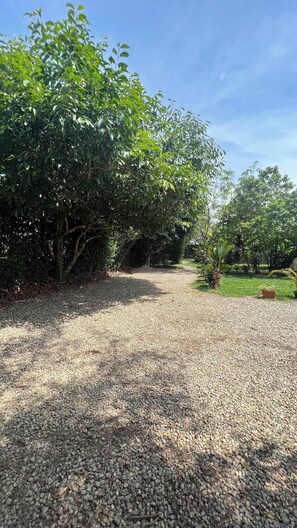 A gravel path leading through a garden with trees and greenery. - Luxury glamping in Ruztico (Villavicencio)