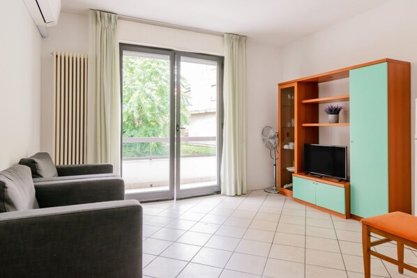 Flat-screen TV