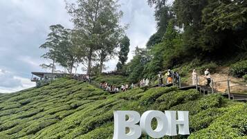 A hillside with a sign reading "BOH" and a building in the background.