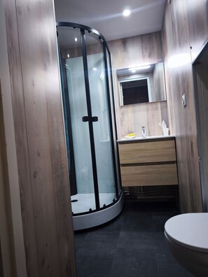 Hair dryer, toilet paper - Studio 2/4 Pers, right in the center, facing the spa. (Mont-Dore)