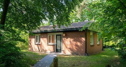 Comfortable 4-person bungalow