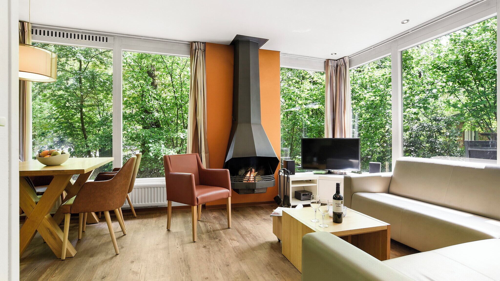 Een televisie en een open haard