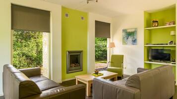 Cheminée, lecteur de DVD