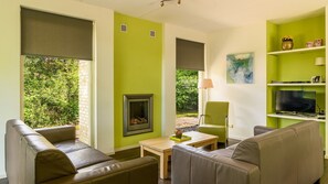 壁炉、DVD 播放器