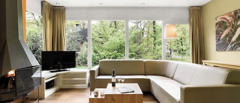 TV, fireplace