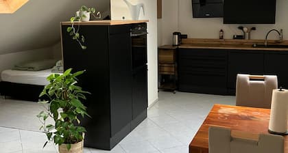Bright 45sqm apartment for max. 5 people