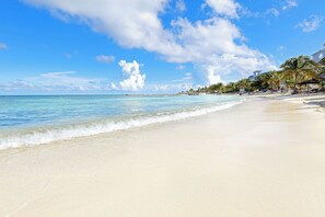 在海滩、白沙