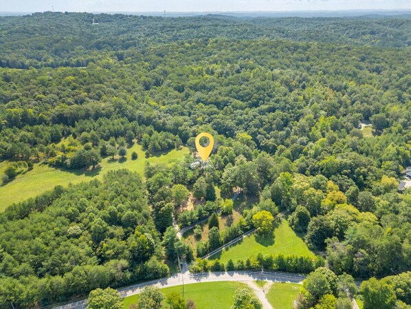 An aerial view of a forested area with a yellow location marker.
