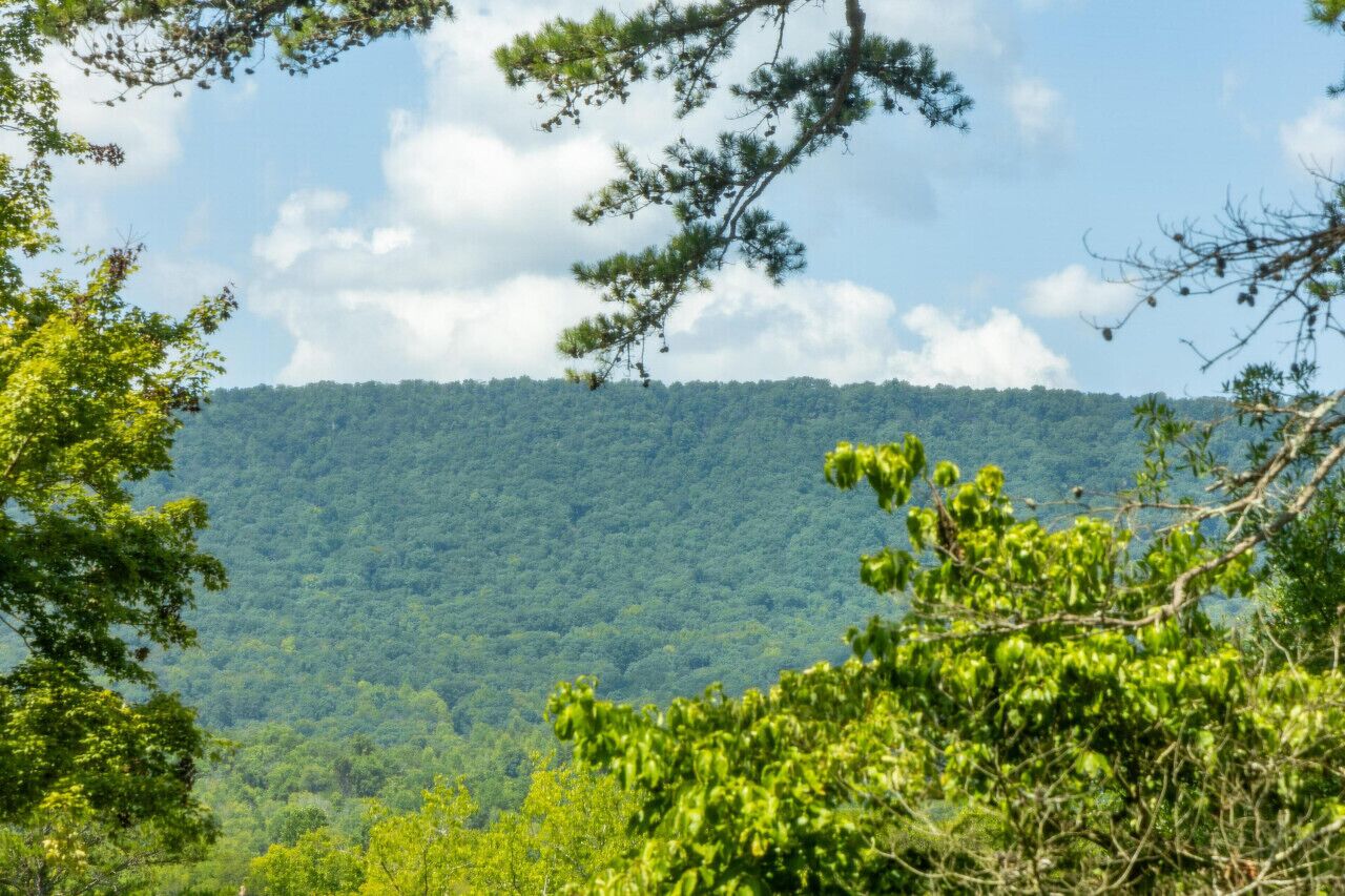 Paisaje montañoso cubierto de bosque denso y vegetación verde, con cielo despejado.