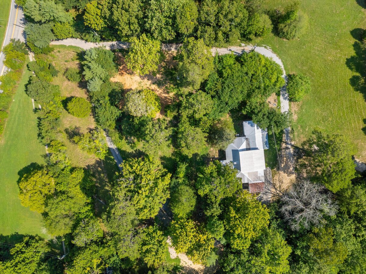 Vista aérea de una propiedad con un edificio central rodeado de árboles frondosos, un camino despejado y una pequeña zona cercada.