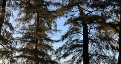 The Sierra Hostel Phuket