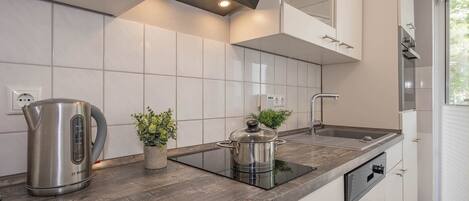 Fridge, oven, stovetop, dishwasher