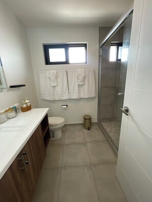 Chuveiro, secador de cabelo, toalhas de banho, sabonete