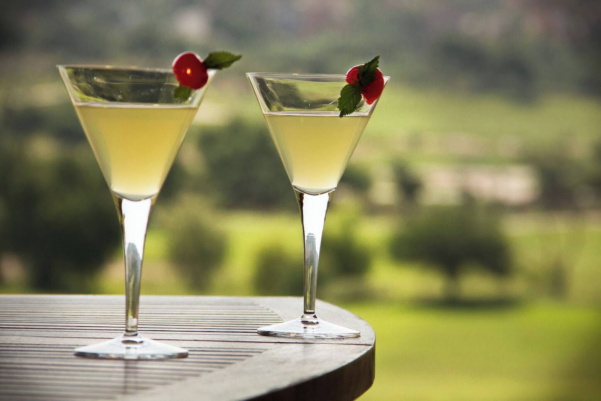 Two martini glasses with a yellow liquid, garnished with a red berry and a mint leaf, on a table with a blurred outdoor background.