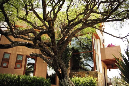 Serene Oasis in San Miguel de Allende 6-bedroom Villa With Hot Tub