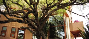 Serene Oasis in San Miguel de Allende 6-bedroom Villa With Hot Tub