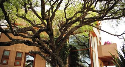Serene Oasis in San Miguel de Allende 6-bedroom Villa With Hot Tub