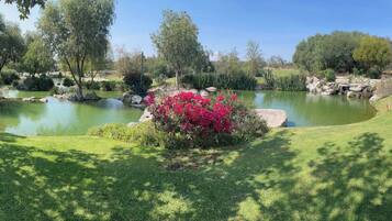 Villa, 6 habitaciones, balcón, vista al jardín | Jardín