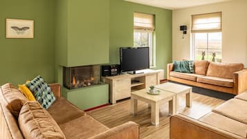 Een open haard en een dvd-speler