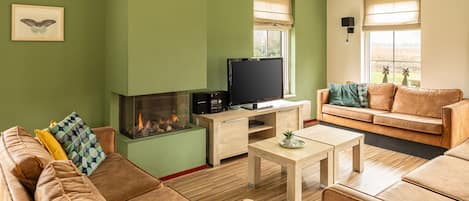 TV, fireplace