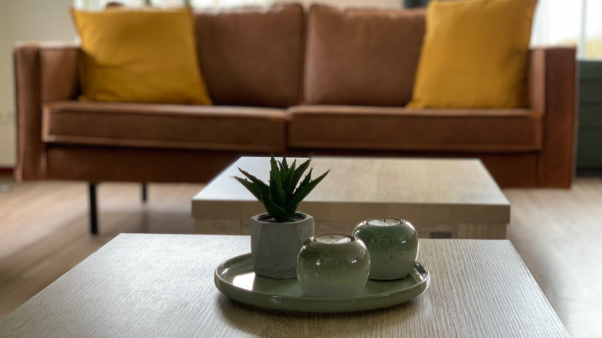 壁炉、DVD 播放器