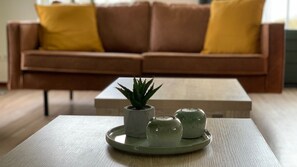 Cheminée, lecteur de DVD