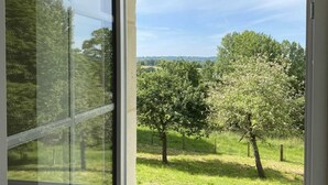 Une fenêtre donnant sur un espace verdoyant et des arbres.