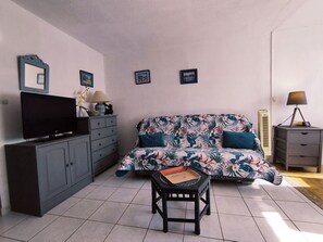 Televisión 