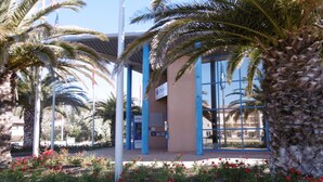A building with blue columns and a glass facade, surrounded by palm trees and red flowers.