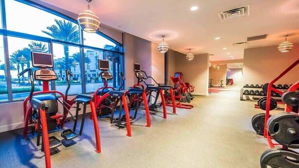 Un gimnasio con equipo de ejercicio, grandes ventanales y vista a palmeras.