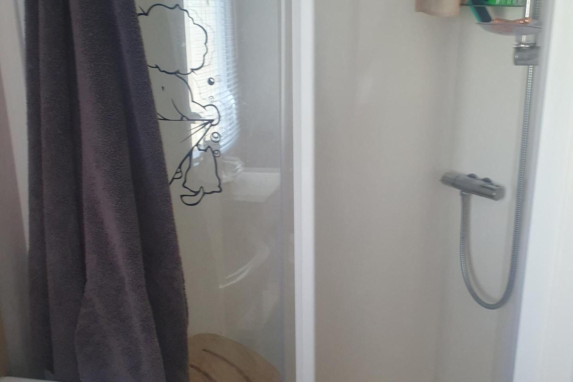 Suihkutila, jossa on lasiovi, suihkupää ja pyyheteline.