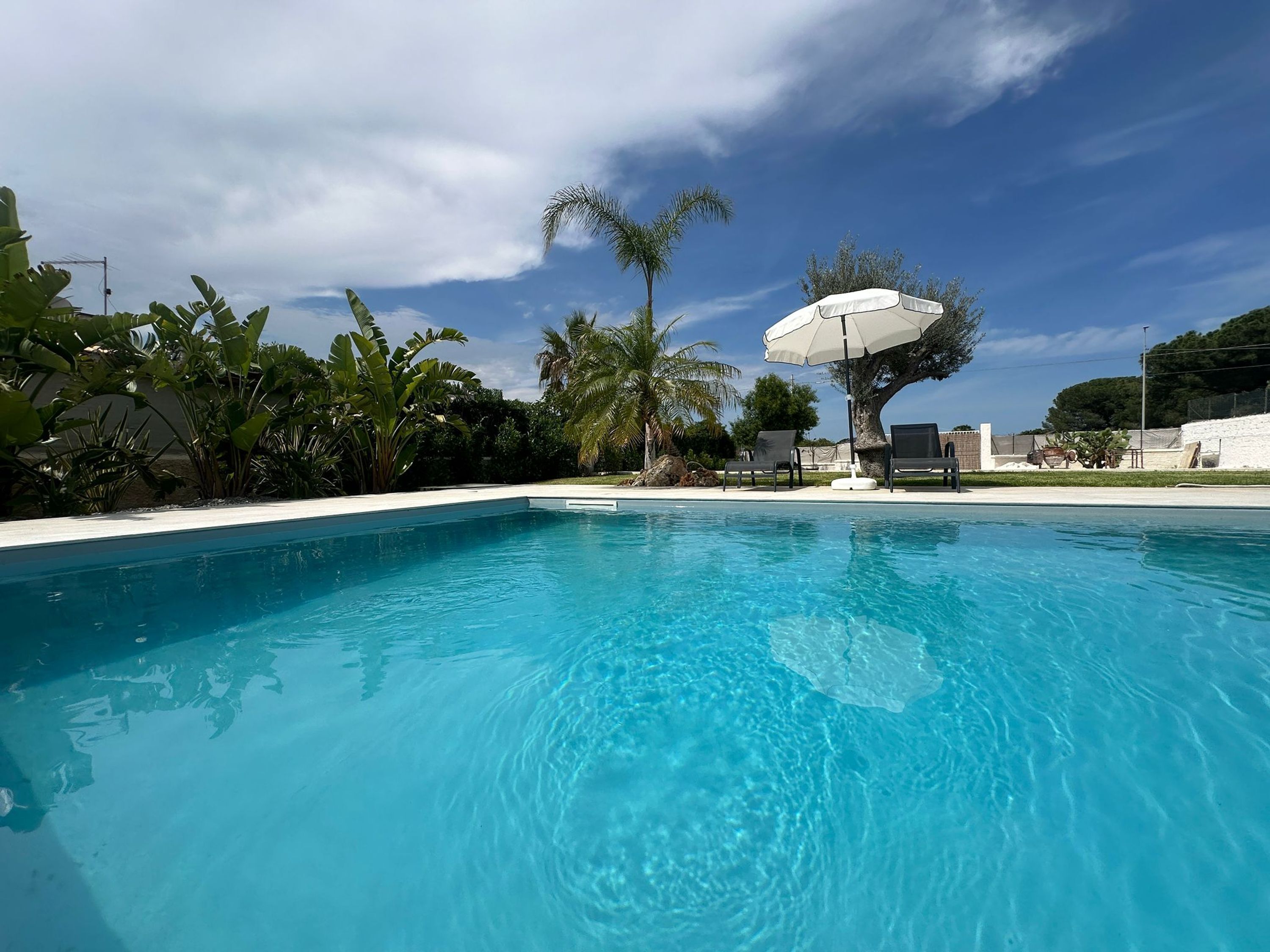 Une piscine d’un bleu éclatant, bordée de chaises longues et d’ombrelles, entourée de plantes tropicales et d’un mur blanc.