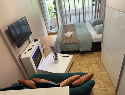 Room in Geneva in a private apartment, close to the center, excellent mobility