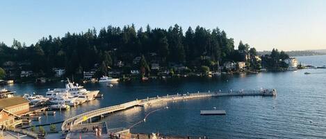 Marina/club náutico