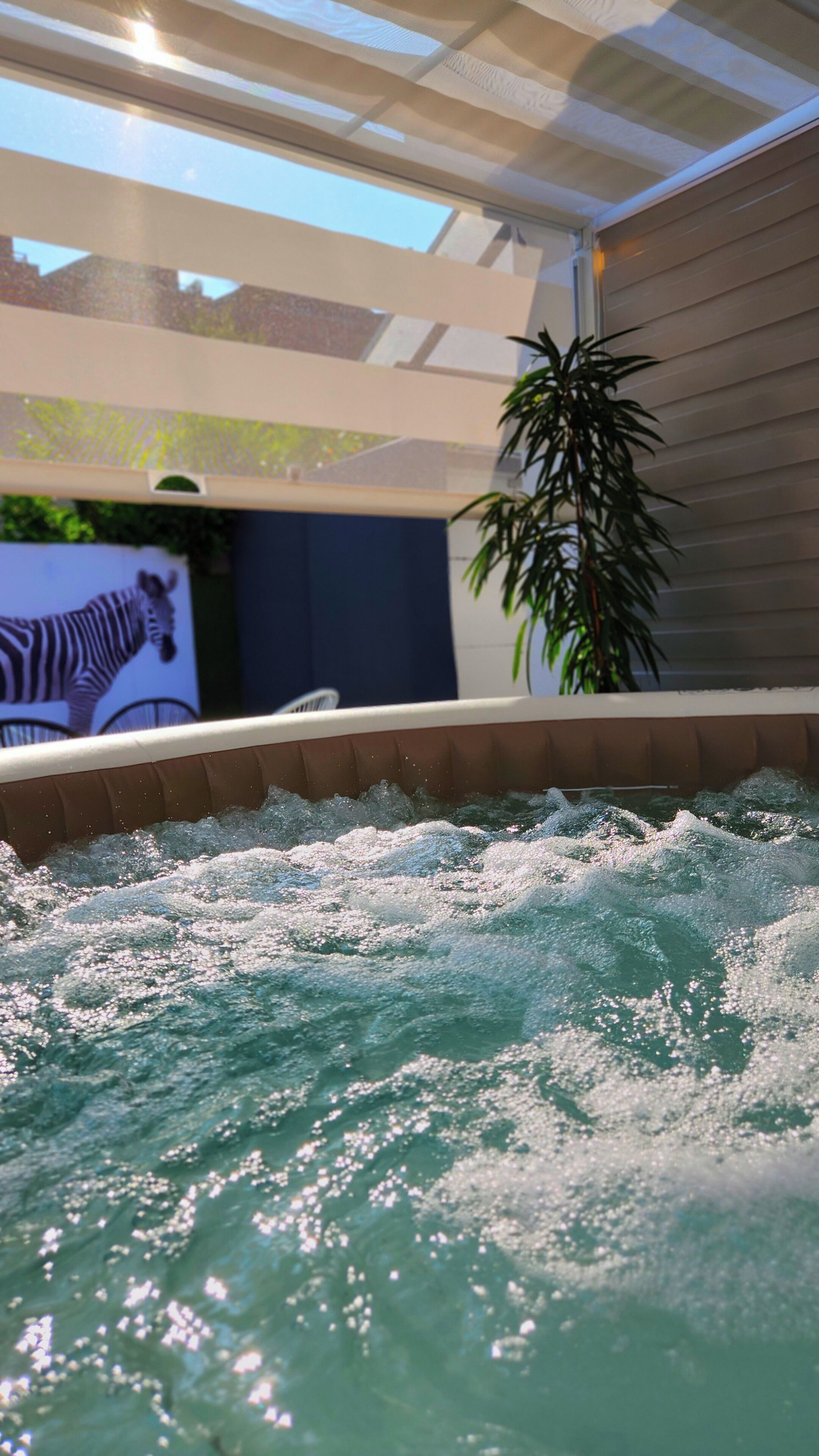 テラス / パティオ