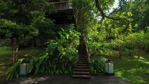 Un escalier en bois, entouré d’une végétation luxuriante, mène à un espace abrité.