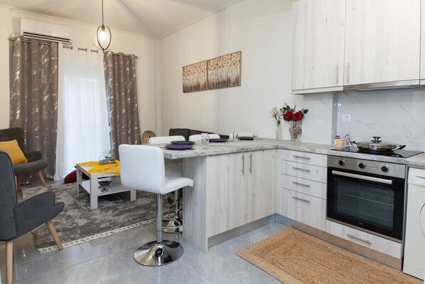 Fridge, oven, stovetop, coffee/tea maker