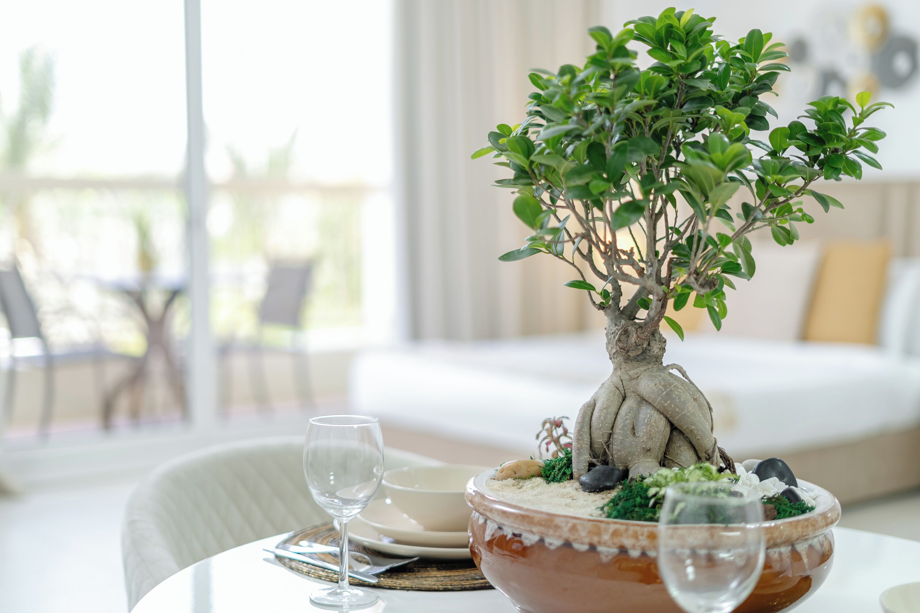 Ein Esstisch mit Bonsai-Baum als Mittelpunkt, einem Weinglas und einer Schüssel Essen.