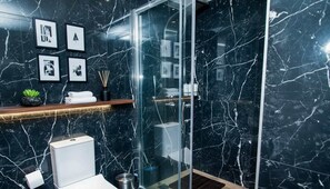 Regadera y secadora de cabello 