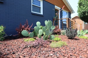 Un jardín con diversas plantas, incluyendo un cactus grande, frente a un edificio de color azul oscuro y una ventana visible.