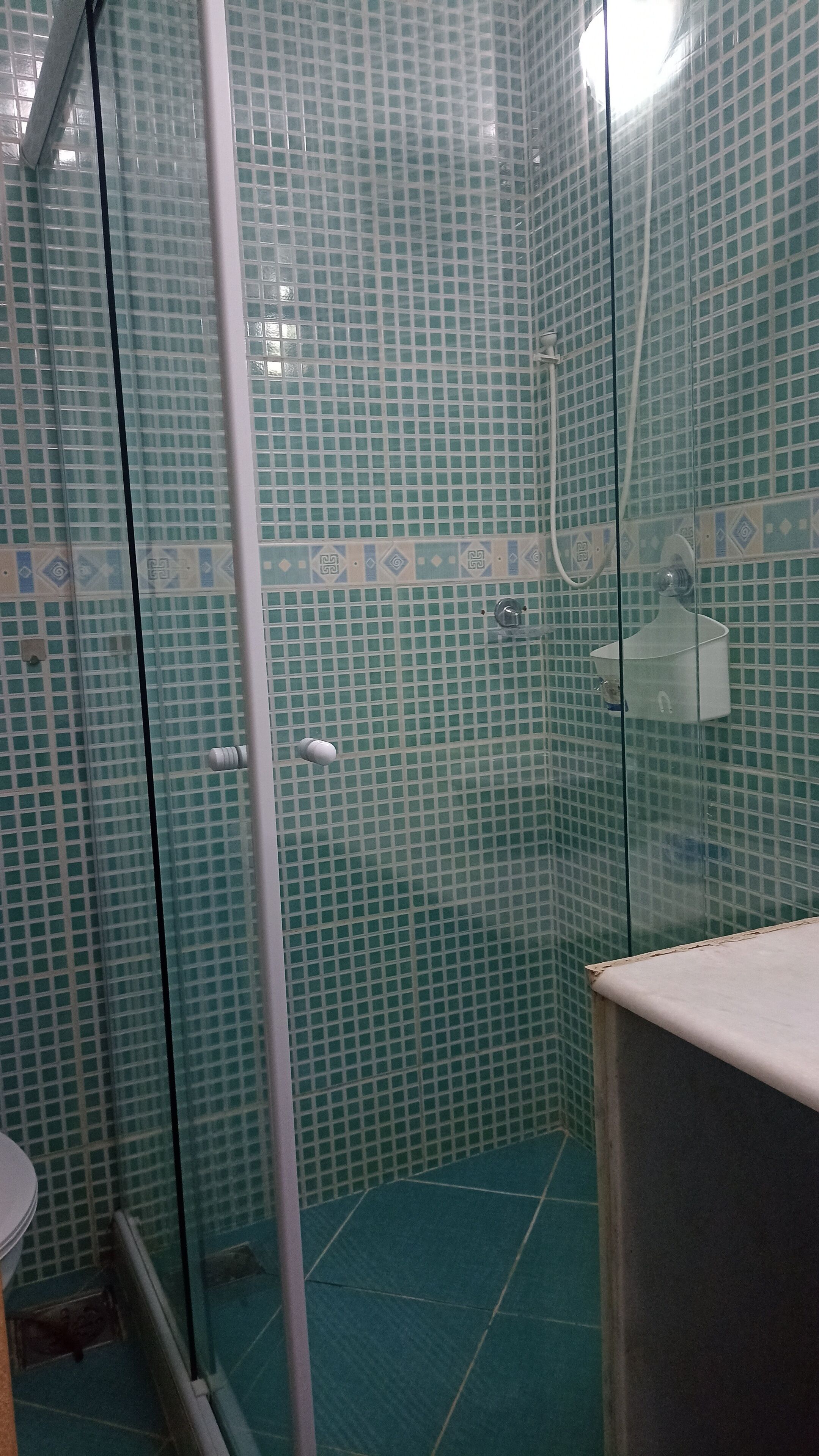 A bathroom with a glass shower enclosure, tiled walls, and a visible toilet.