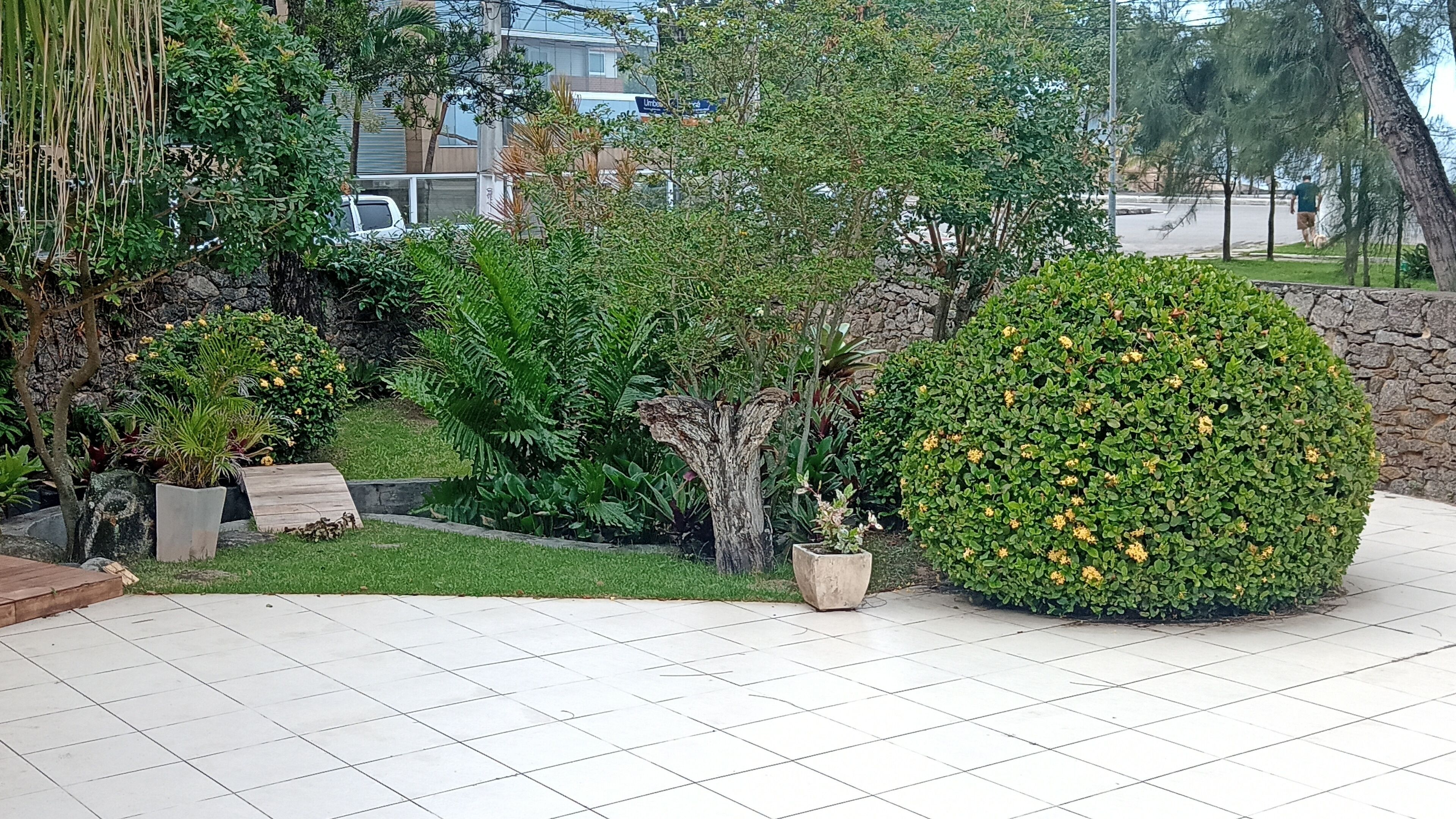 A landscaped garden area with various plants and a paved walkway.