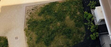 Área da propriedade