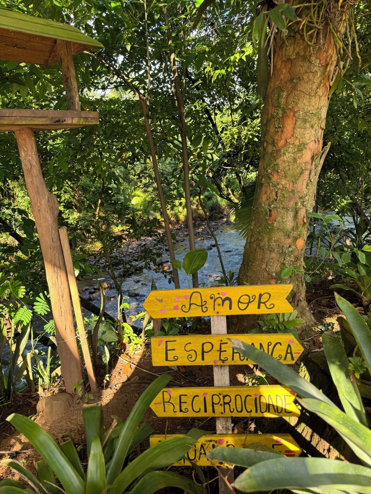Un cartel de madera con múltiples indicaciones direccionales en un entorno natural.