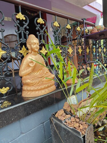 KAABHA Tranquil Oasis in Varkala: Experience Yoga, Ayurveda, & Plunge Pool 