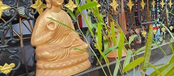 KAABHA Tranquil Oasis in Varkala: Experience Yoga, Ayurveda, & Plunge Pool 