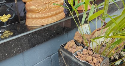 KAABHA Tranquil Oasis in Varkala: Experience Yoga, Ayurveda, & Plunge Pool